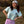 Girls can board too Crop Tee