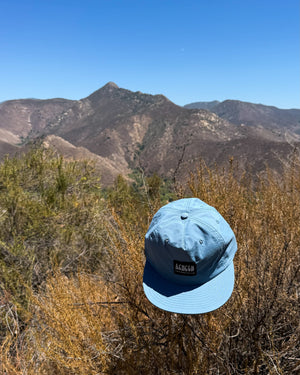 Blue cap on a bush with mountains in the background